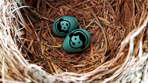 MYTH #3: The cost of nesting is merely wage x hours