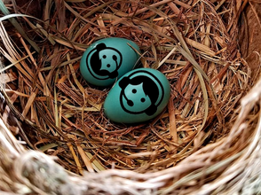 MYTH #3: The cost of nesting is merely wage x hours