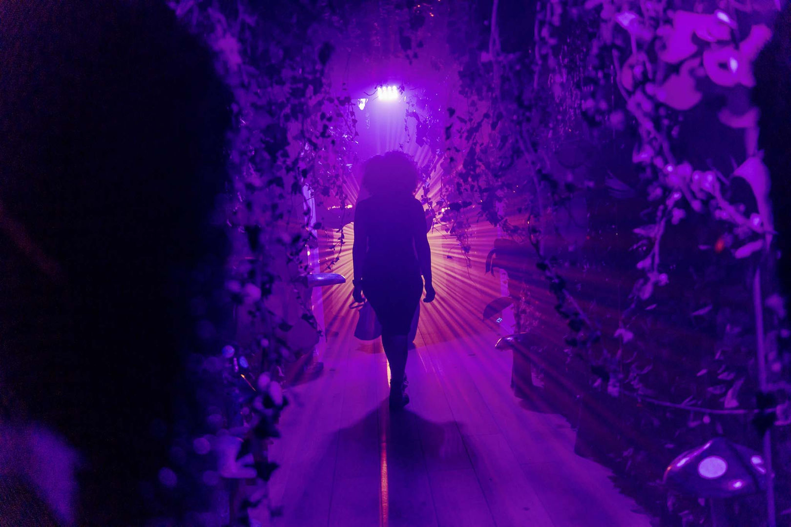 alice in wonderland private event