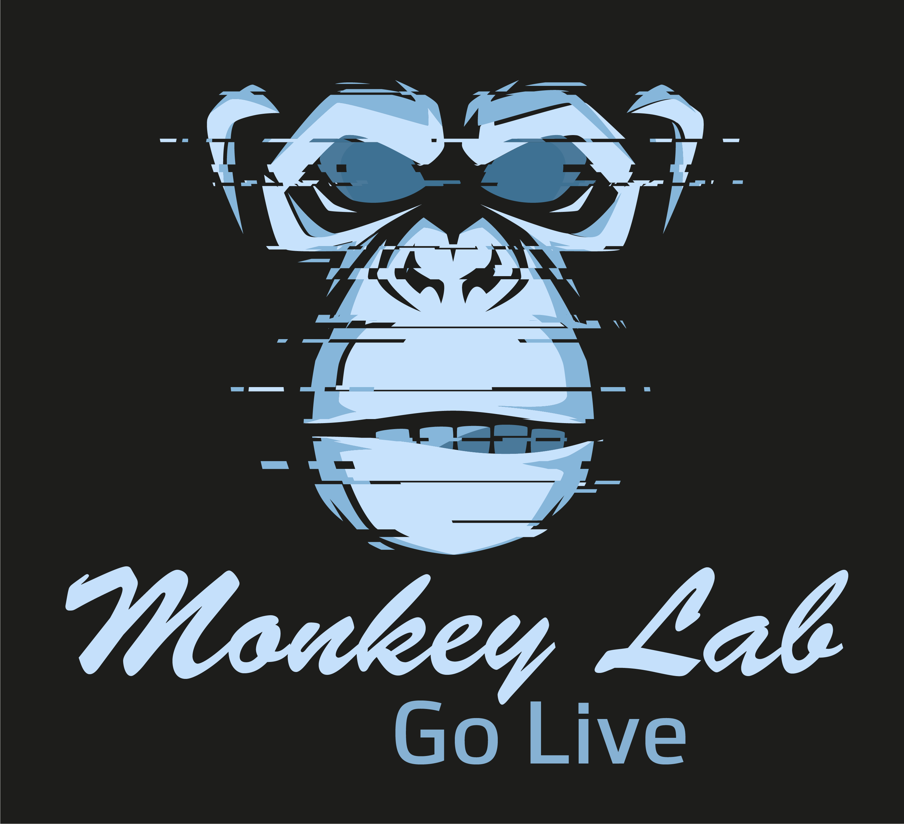 Monkey Lab Manufaktur IT