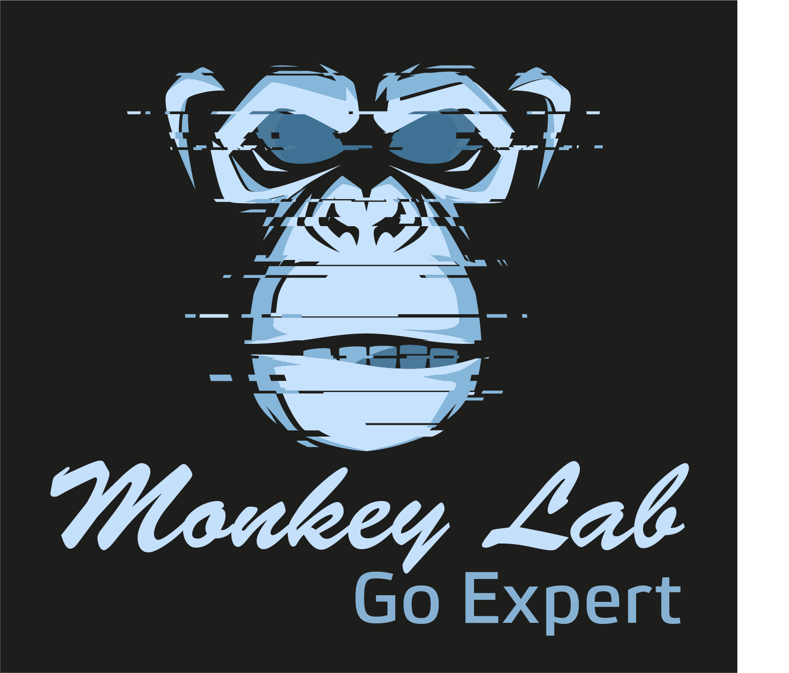 Monkey Lab Manufaktur IT