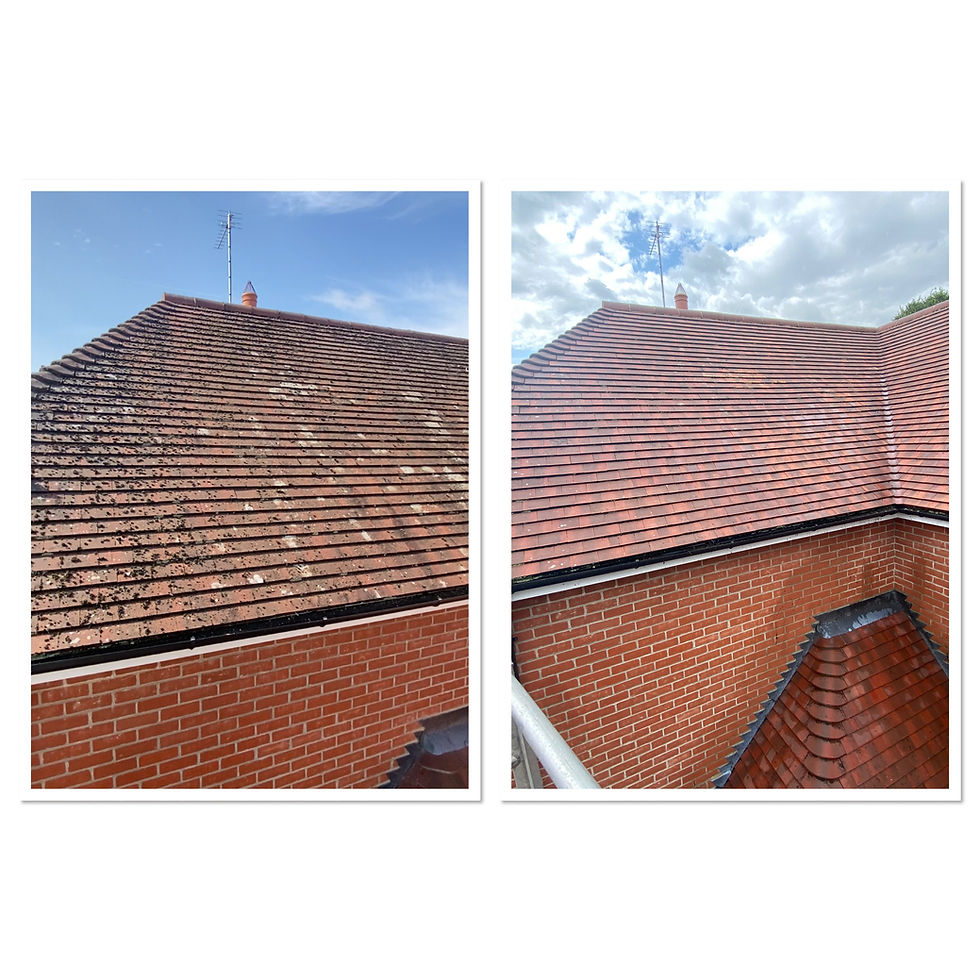 Gentle roof cleaning - Steaming Clay Tiles