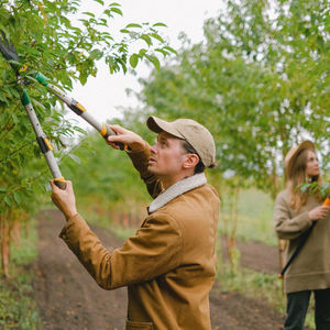 Excellent Quality Tree Solution: Why It Matters for Your Property