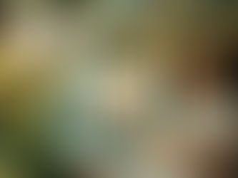 A woman fanning herself sitting outside in front of her house under a tree.