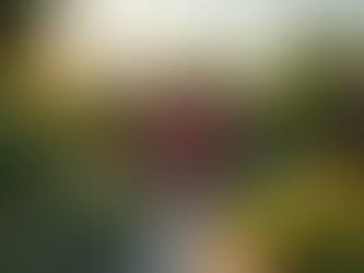 Maximize Space: Shipping Container Placement Tips