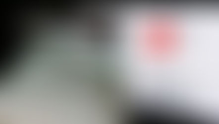 The Red Cross Visitations of Hostages and Prisoners – Questions and Answers