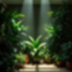 luxurious green plants light.jpg