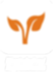 PLANT.png