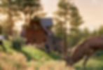 Mill's Cabin - Colorado