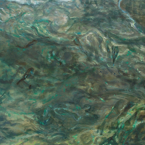 Topographies de l’invisible