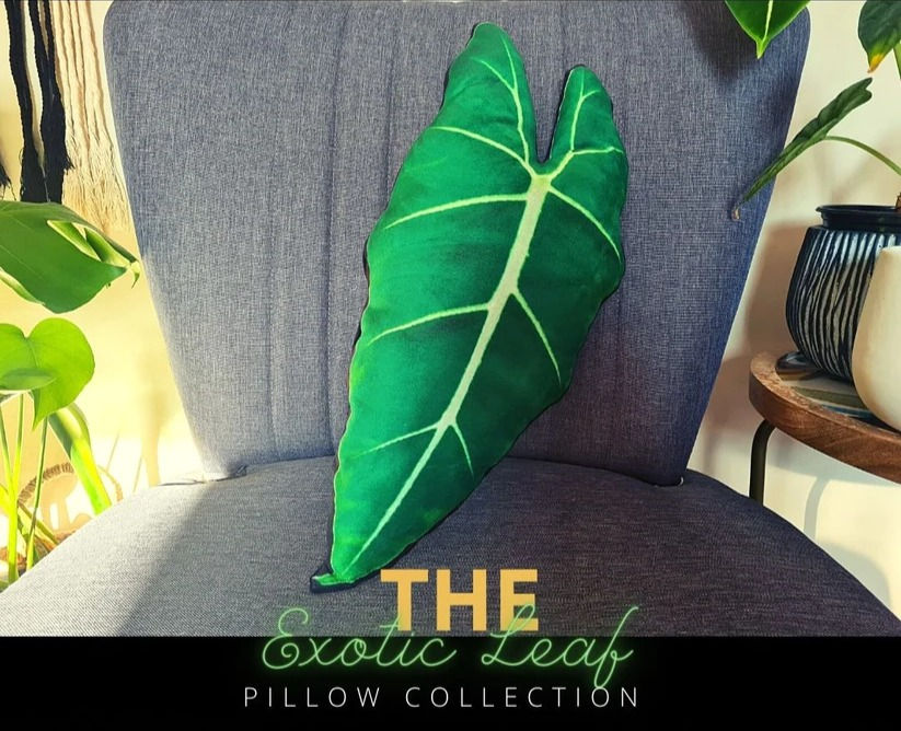 Alocasia Frydek Velvet Leaf Pillow