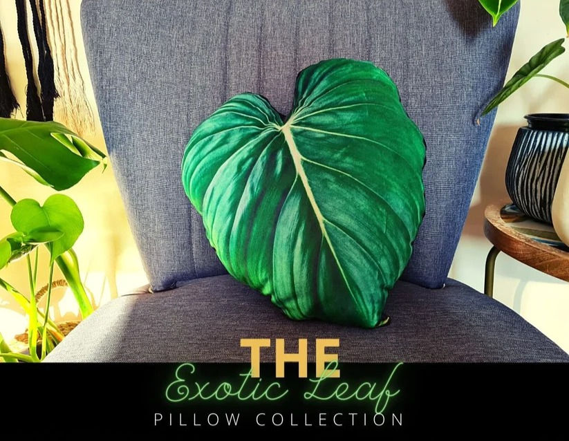 Philodendron Gloriosum Velvet Leaf Pillow