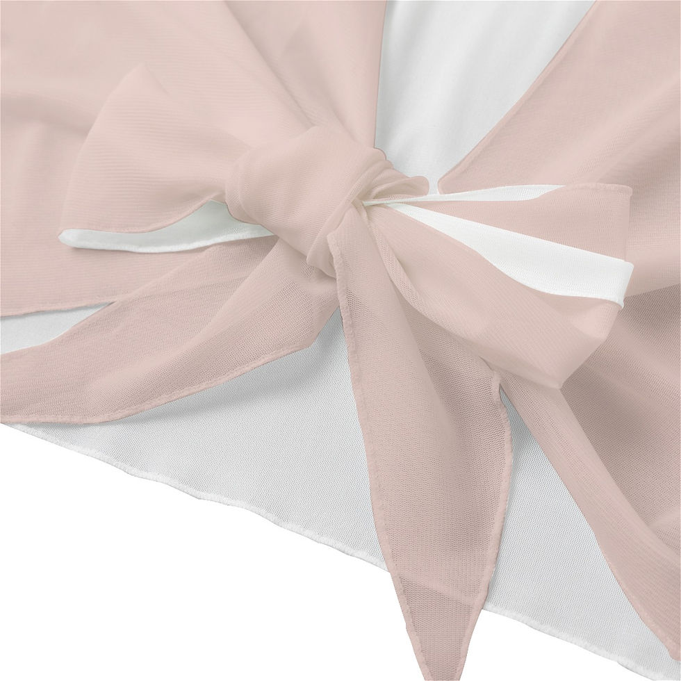 Thumbnail: Tie Front Mesh Blouse Ballet