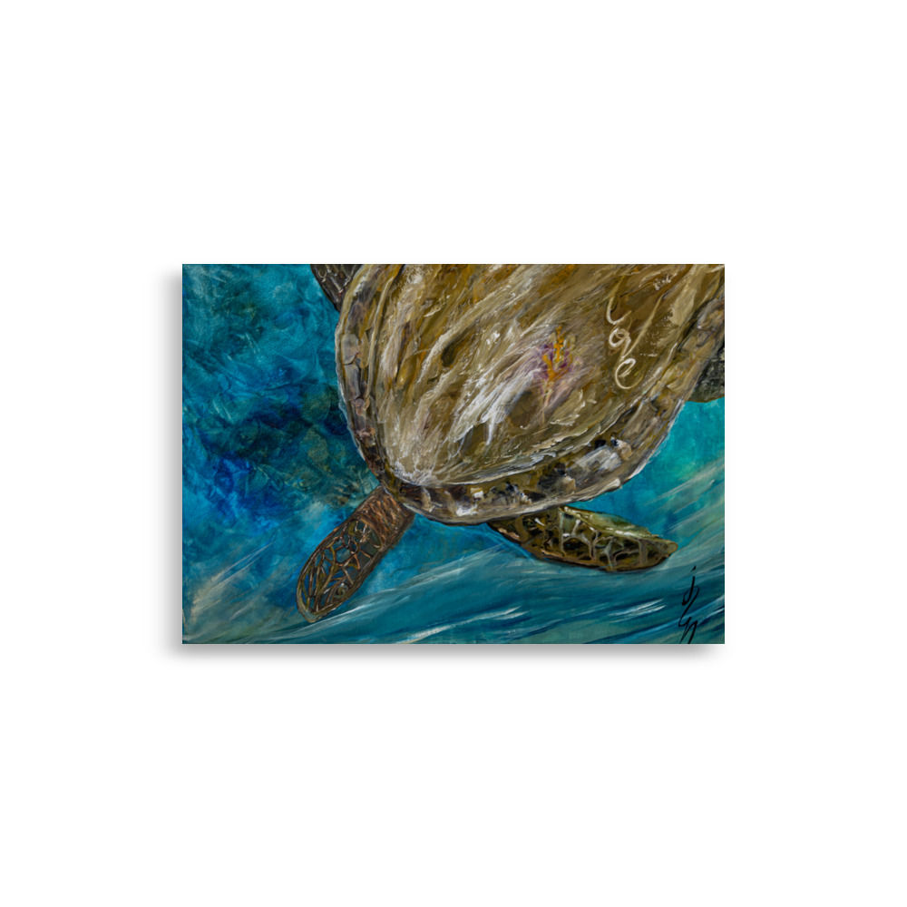 Love Turtle
