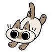 小豆泥.png