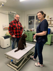 Ein Hund beim Training in einer Tierarztpraxis