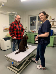 Hund beim Tierarzt - Medical Training