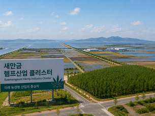 새만금 헴프산업 클러스터 본격화 | 한국 헴프·CBD 산업의 미래와 글로벌 시장