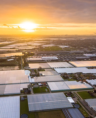 High Tech Greenhouse Outerier (1).jpg