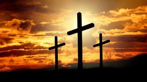 Weekly Bulletin - 20 April, 2025