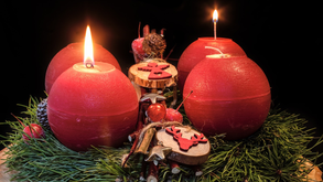 Weekly Bulletin - 8 December, 2024