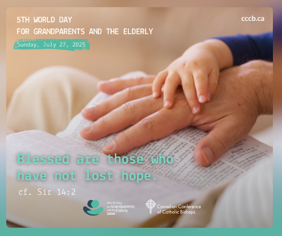 Weekly Bulletin - 27 July, 2025