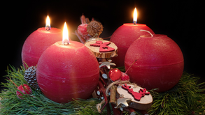 Weekly Bulletin - 15 December, 2024