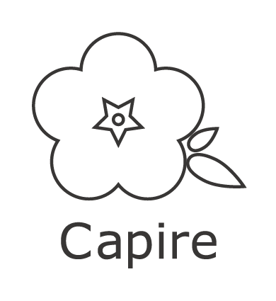 執筆者の写真: Capire（カピーレ）　伊藤亜里沙