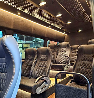 Luxe Tours Milford Sound Tour from Te Anau van