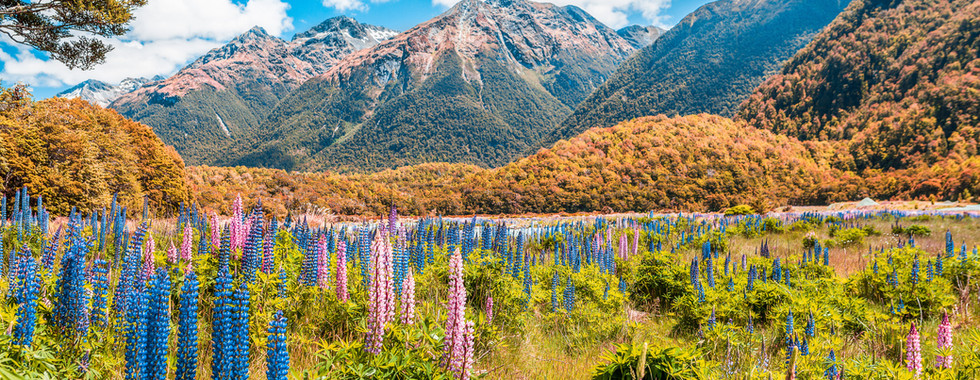 Fiordland National park is a very special place