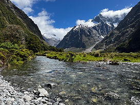 Monkey Creek on route to Milford Sound