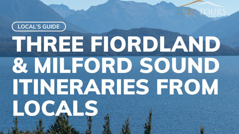 Article: Three Fiordland & Milford Sound Itineraries from Locals