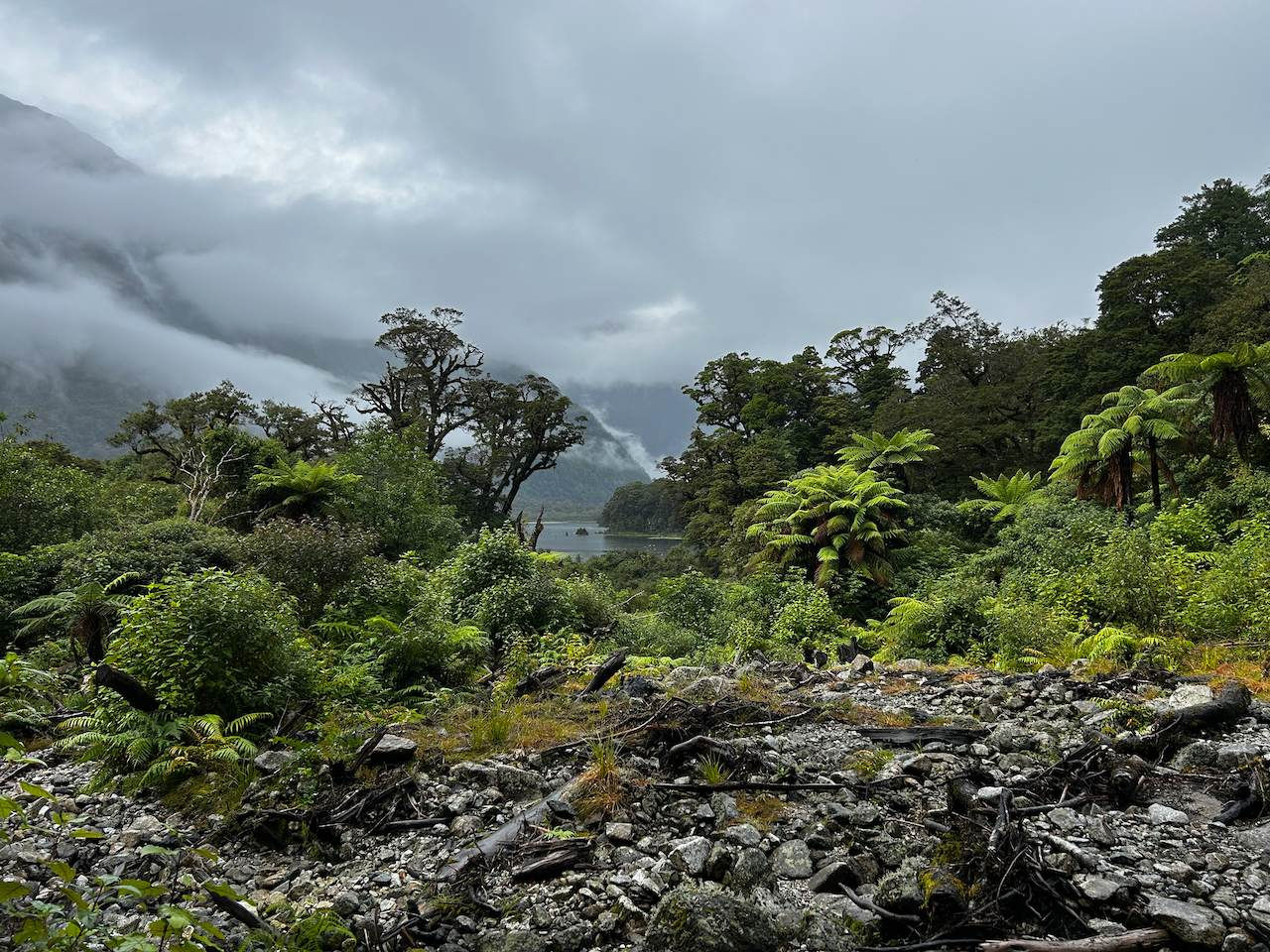 The Milford Track, New Zealand