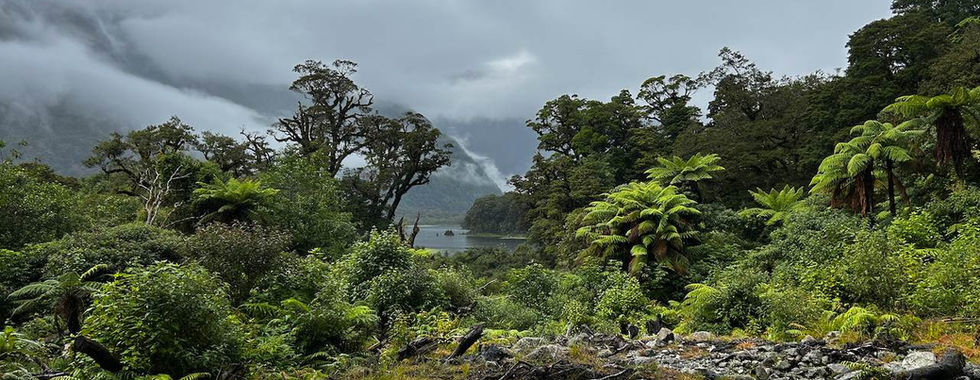 The Milford Track, New Zealand