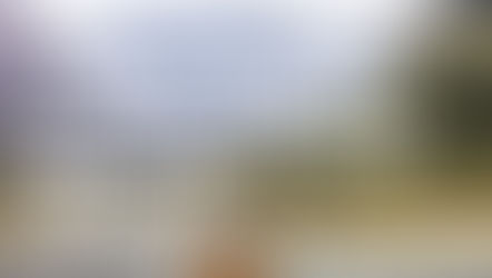 Article on the Milford Road in winter