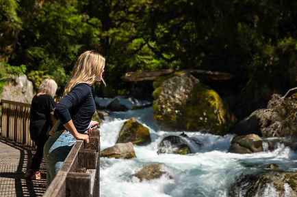 Milford Sound Tour from Te Anau short waterfall walk