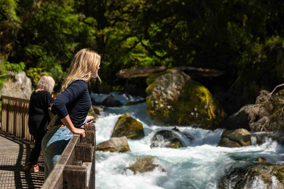 Marian Lake Falls, Milford Sound, Luxe Tours