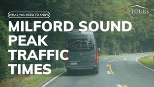 Milford Sound Busiest Peak Traffic Times