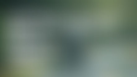 Milford Sound Busiest Peak Traffic Times