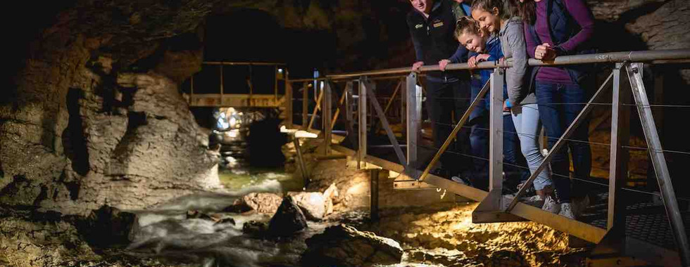 Te Anau Glowworm Caves, Luxe Tours NZ