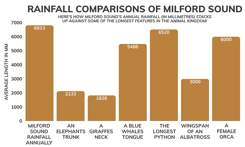 Infographic - How often does it rain in Milford Sound New Zealand?