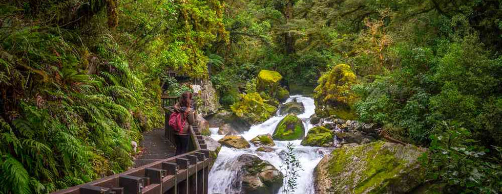 Marian Falls, Milford, Luxe Tours NZ
