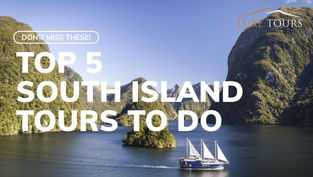 Article on Top South Island Things to do