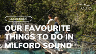 Our Favourite Things to Do in Milford Sound