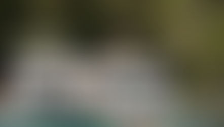 Our Favourite Things to Do in Milford Sound