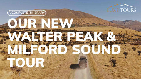 Article on Luxe Tours new Milford Sound tour