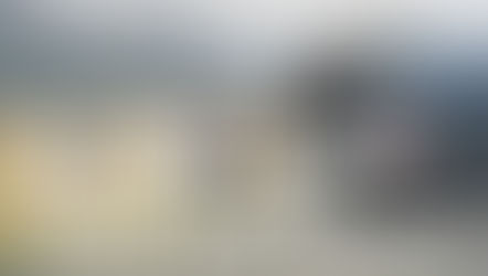 Milford Sound Tour Pricing Guide