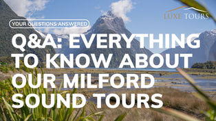 Article - Everything to know about our Milford Sound tours