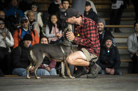 Walter Peak Station Sheep & Farm Show