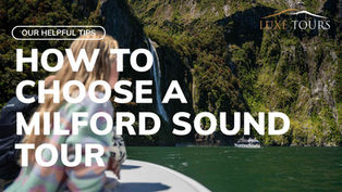 10 things to be aware of when choosing a Milford Sound tour article